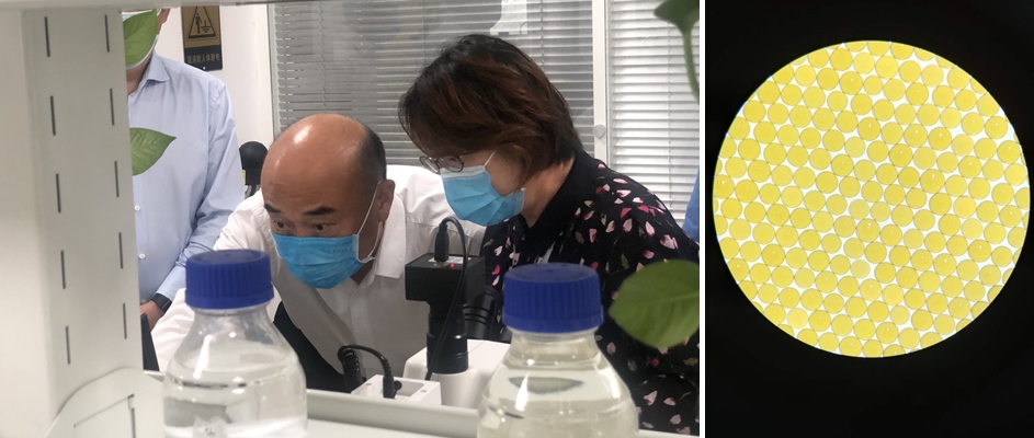 ����ʡʡ�������С��������г�����Զһ�е��и���ggpoker������ҵ԰