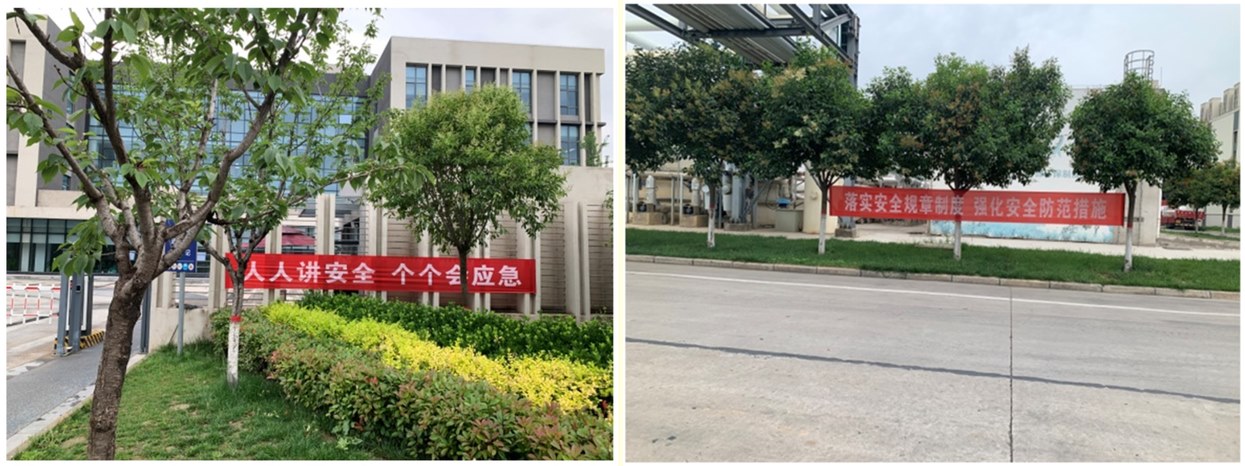 ��ʵ��չ���徲�����¡��˶�����������������ʵ�ƶ�ggpoker�����Ƽ�����������